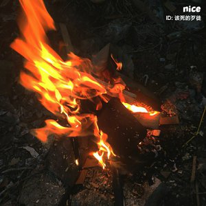 男女啪啪污动态国产
