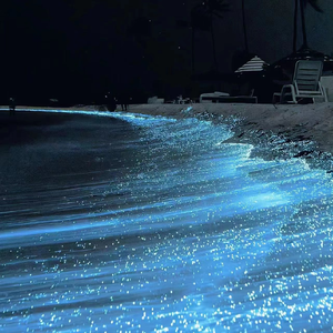 男女啪啪污动态国产
