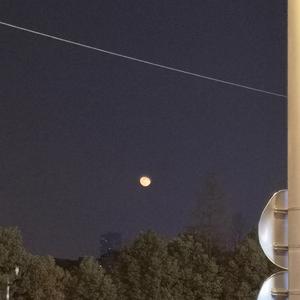 男女啪啪污动态国产
